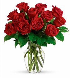 <b>Red Roses with Free Vase<br>Free Delivery  from Flowers All Over.com 